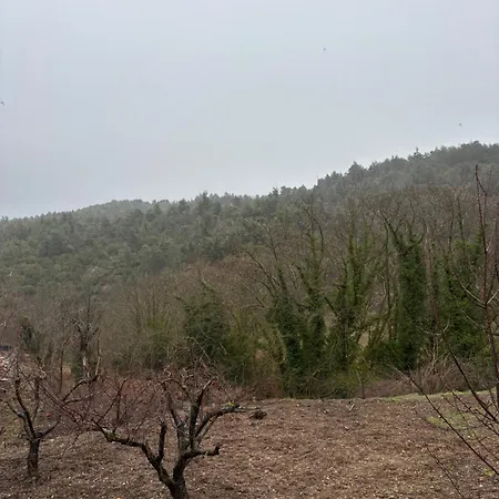 Semesterbostad To Xylino *