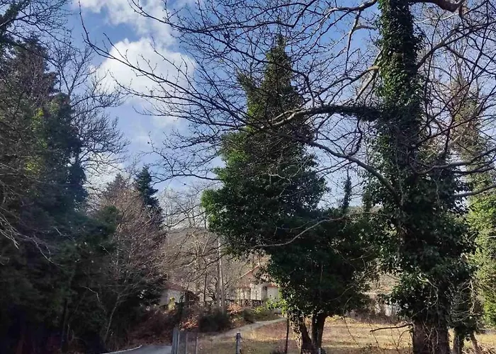 To Xylino 度假居 *