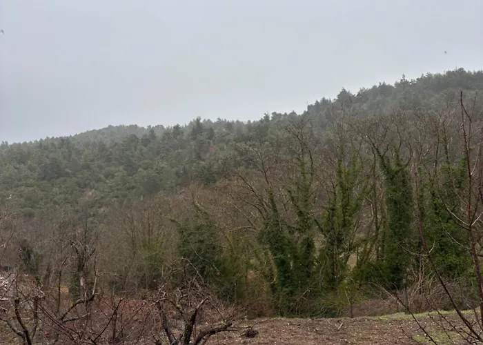 度假居 To Xylino *